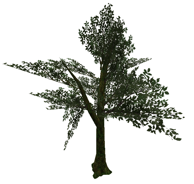 tree_jungle_07.mdl tree_jungle_07.mdl