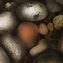 Lbp3_r513946_zt_wet_stone_icon.tex.png