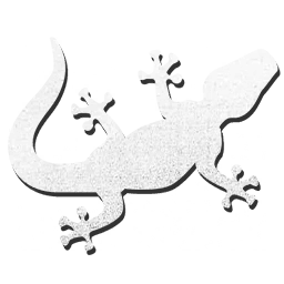 Ghost I