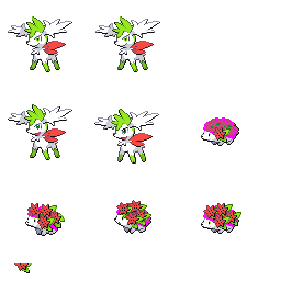 pmpl_516_frnt_flower_r10462.png pmpl_516_frnt_flower_r10462.png