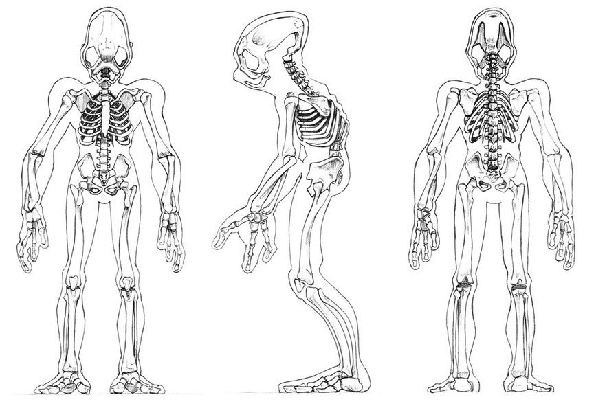 Abe/Mudokon skeleton drawings.