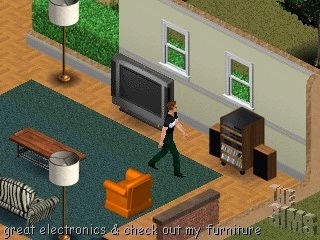 Example of a pre-release SimWebCam livestream snapshot (note the early watermark).