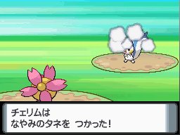 PKMNDP_pachchirem.jpg