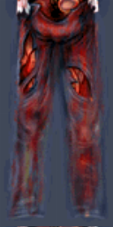Ditto, front of pants Ditto, front of pants