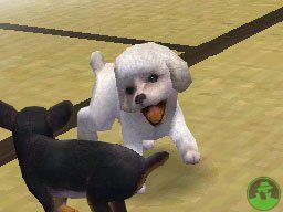 NintendogsMarch14-2005Screenshot17.jpg NintendogsMarch14-2005Screenshot17.jpg