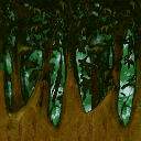 forettronc5 forettronc5