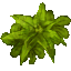 Rayman3_Proto_5-17-2002_wood_littleveg_spritegen.png