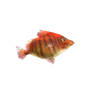 LBP1_real_animals_5401.tex.png