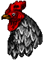 GF4DM3-mboogie-chead1.png