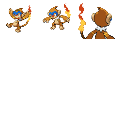 pmpl_435_frnt_m_r2236.png pmpl_435_frnt_m_r2236.png