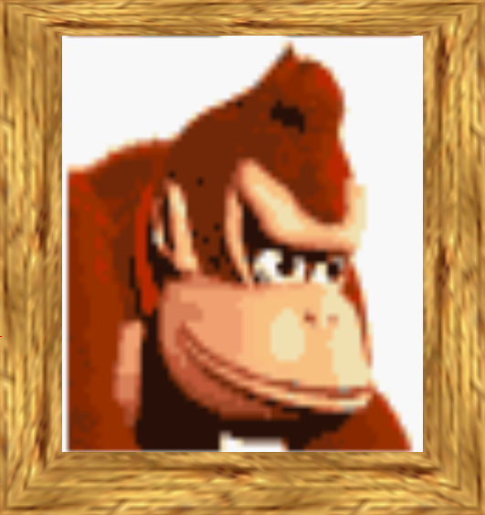 Dk64_dkportrait.png