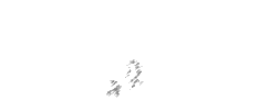 GeonCube-Wii-Strawdog.gif GeonCube-Wii-Strawdog.gif