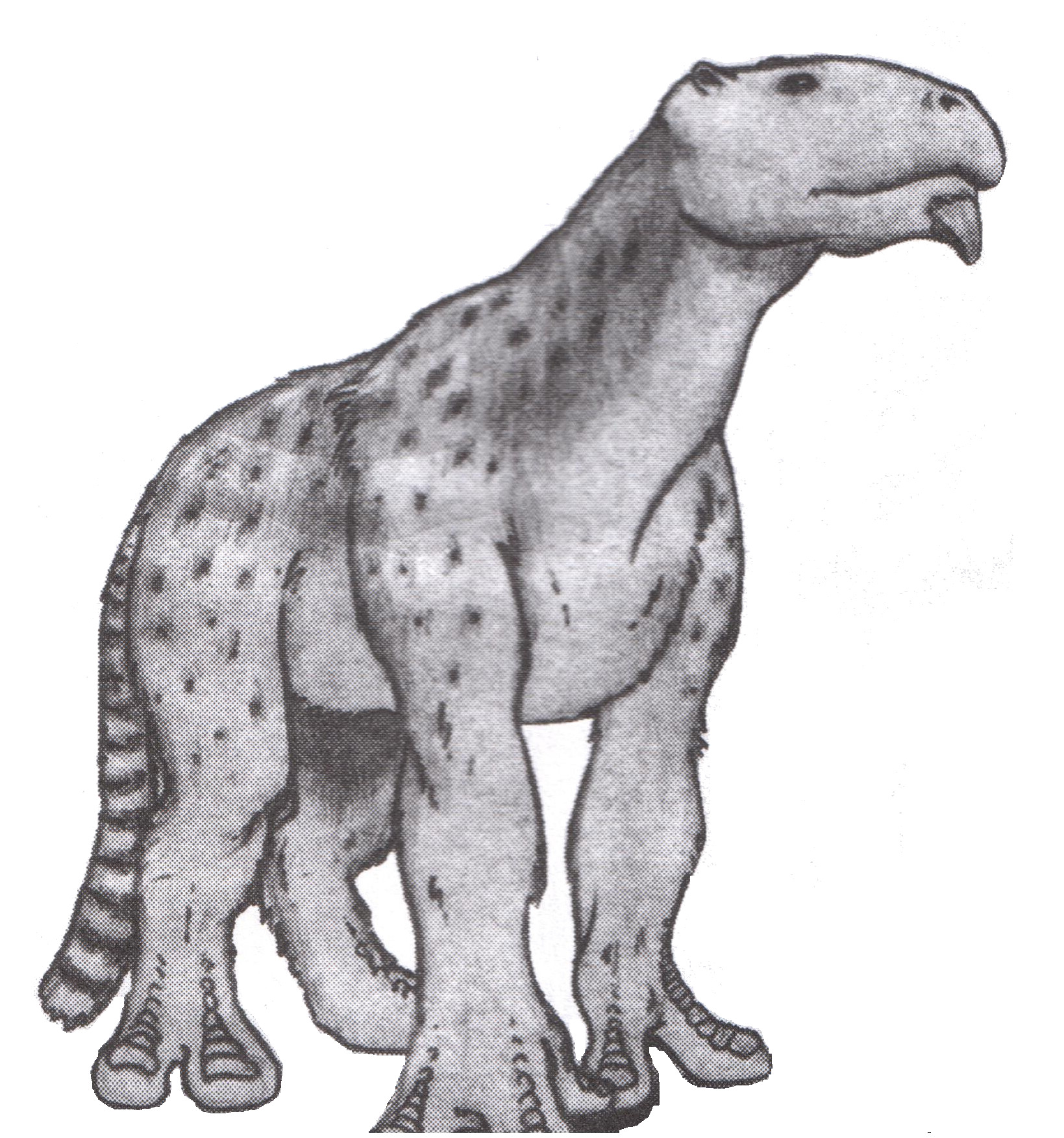What is clearly the same animal seen in a pre-release image, so likely a Gloath What is clearly the same animal seen in a pre-release image, so likely a Gloath