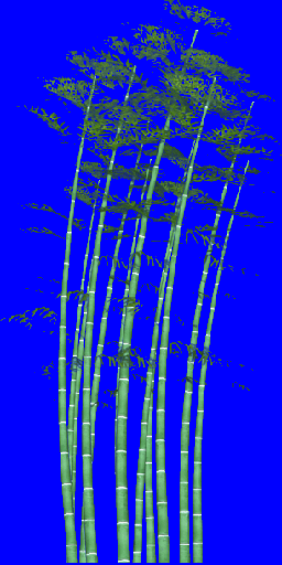 CSDS-Lostcause_bam_trees08.png_‎