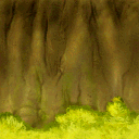foret_solbordsnew foret_solbordsnew