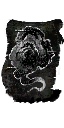 DSII-NT_BitterMist.png DSII-NT_BitterMist.png