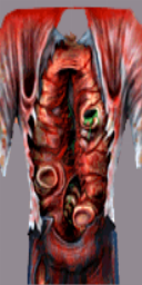 Higher resolution torso texture Higher resolution torso texture
