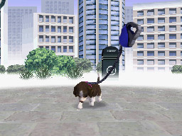 NDG_sanpo02.jpg NDG_sanpo02.jpg