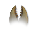 Jaw (Carnivore, 15 DNA) Jaw (Carnivore, 15 DNA)
