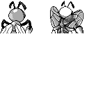 PM2B_015.CBB.w128.png