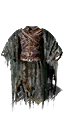 DSII-NT_892001101.png