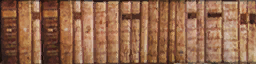 An "E" variant of the books texture. An "E" variant of the books texture.