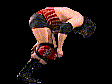 wwfwrestarc-A3FH3A.gif