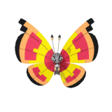 NPS_p034-JA.png