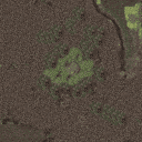 SotC_E35D-slow_b4_mip.png