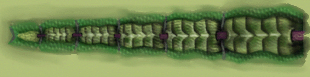 Hls_tentacle3_bottom1.png Hls_tentacle3_bottom1.png