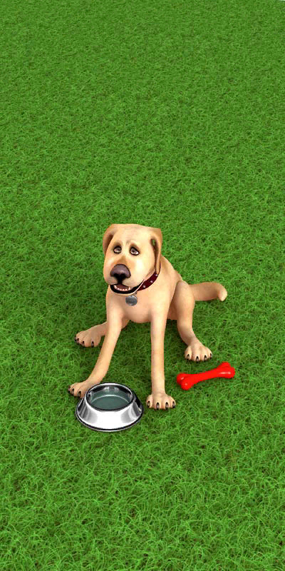 JohnDog-A20_01_-349.png_‎