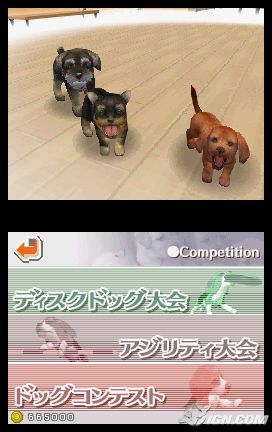 NintendogsMarch9-2005Screenshot4.jpg NintendogsMarch9-2005Screenshot4.jpg