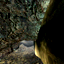 hl2proto_cave002_00_00_00.png