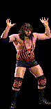 wwfwrestarc-A4UT3A.gif