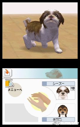 NintendogsMarch9-2005Screenshot5.jpg NintendogsMarch9-2005Screenshot5.jpg