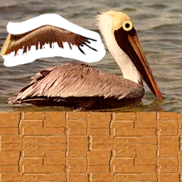 srln_pelican_greenhead*0#0.hsm srln_pelican_greenhead*0#0.hsm
