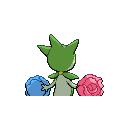 PokeBW_Development_315_back1_m_r1844.png PokeBW_Development_315_back1_m_r1844.png