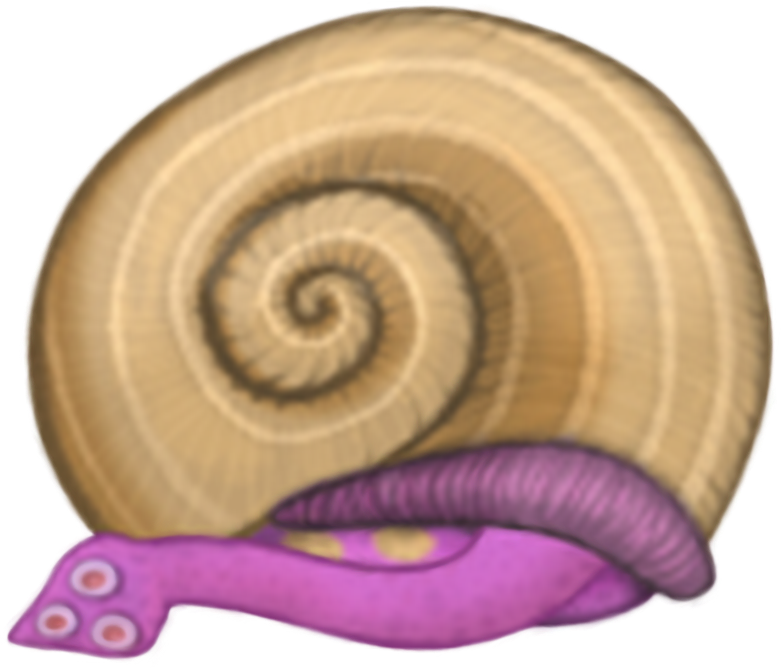 MSM_Final_Shellbeat_Egg.png