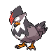 630PokeDPFrontM398-0.png