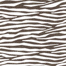 Lbp1_March08_zebra_skin.tex.png