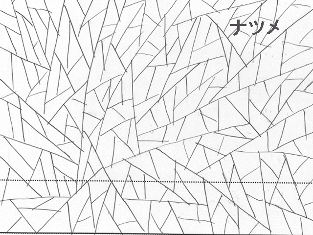 Galaxy_Angel_II_Eigou_-_iv08_36j.agi.png Galaxy_Angel_II_Eigou_-_iv08_36j.agi.png