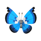 NPS_p034-CA.png