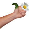 Undertale_Spr_f_handgun_1.png Undertale_Spr_f_handgun_1.png