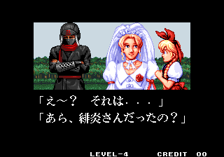 sonicwings3_ellen_end-2.png