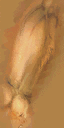 Left hand. Left hand.