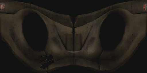 Vest.