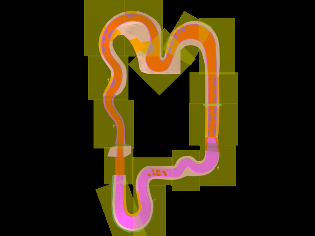MKWii_GCN_Mario_Circuit_AREA.png
