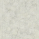 CSDS-Fastline_til_wht_flat.png