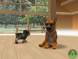 NintendogsMarch14-2005Screenshot7.jpg NintendogsMarch14-2005Screenshot7.jpg