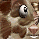 Mouse_body Mouse_body
